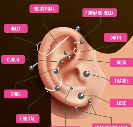 Datos Curiosos Sobre el Piercing